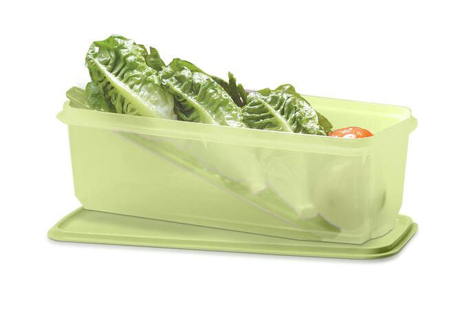 Tupperware FRESQUITA 